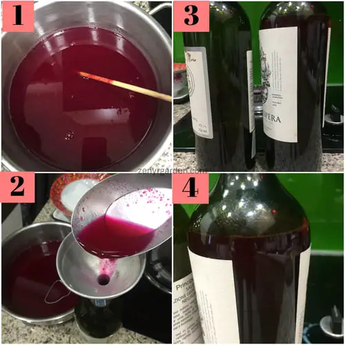 How to Make Red Dragon Fruit Wine (3 Steps)